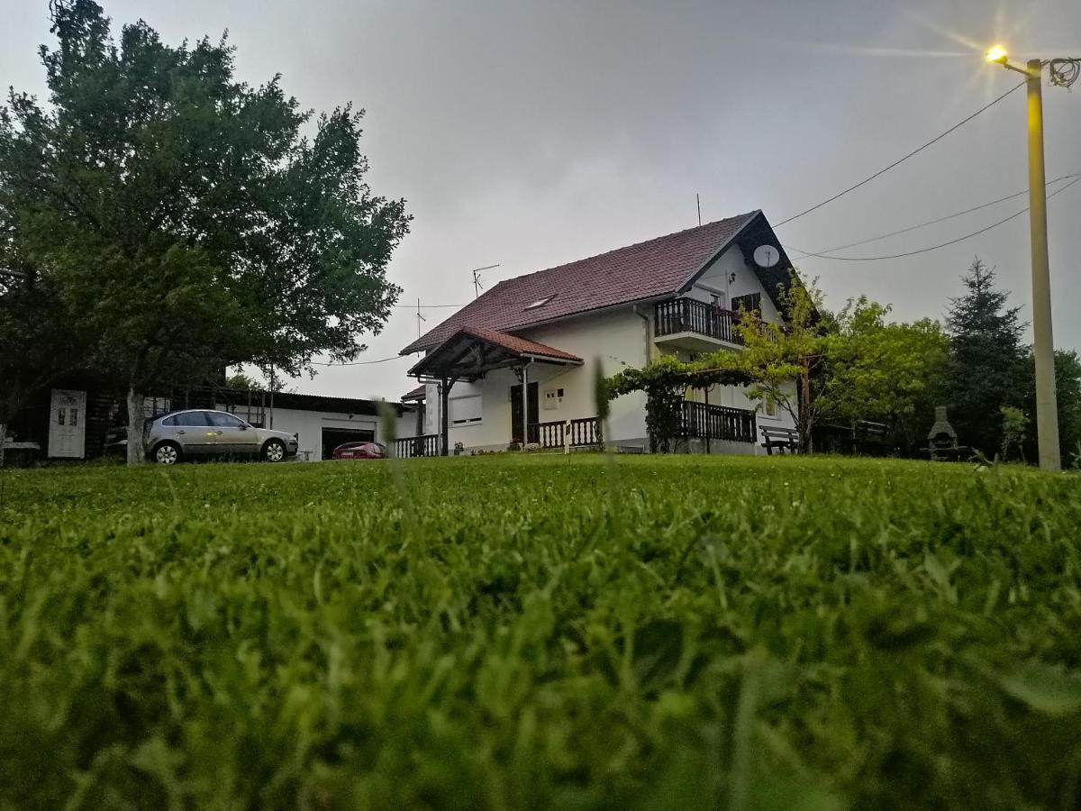 House Viktoria Ξενοδοχείο Seliste Dreznicko Εξωτερικό φωτογραφία
