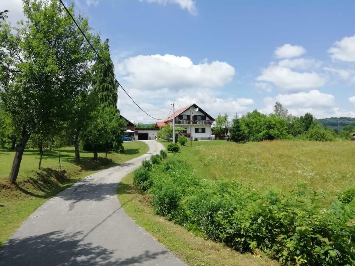 House Viktoria Ξενοδοχείο Seliste Dreznicko Εξωτερικό φωτογραφία