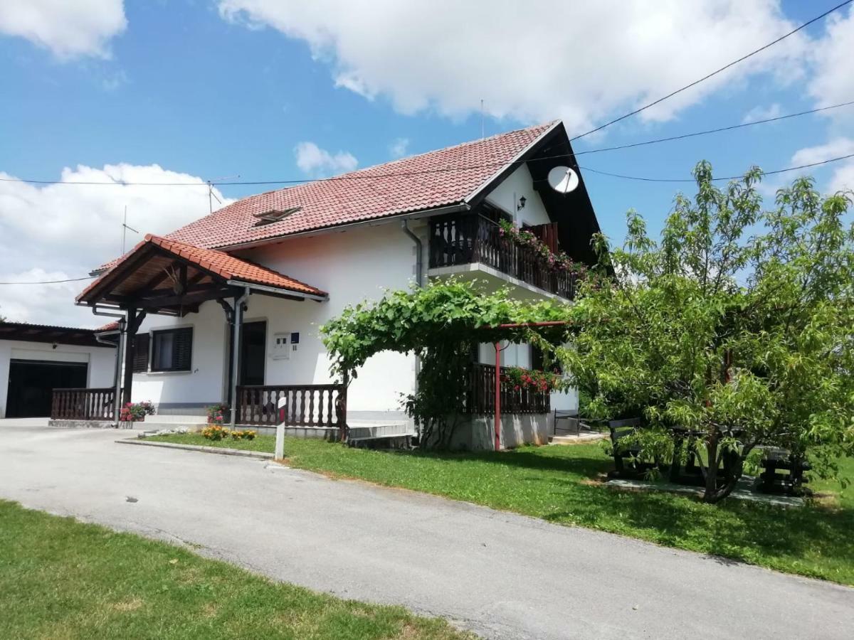 House Viktoria Ξενοδοχείο Seliste Dreznicko Εξωτερικό φωτογραφία